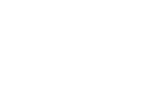 Kelp Beach Wear